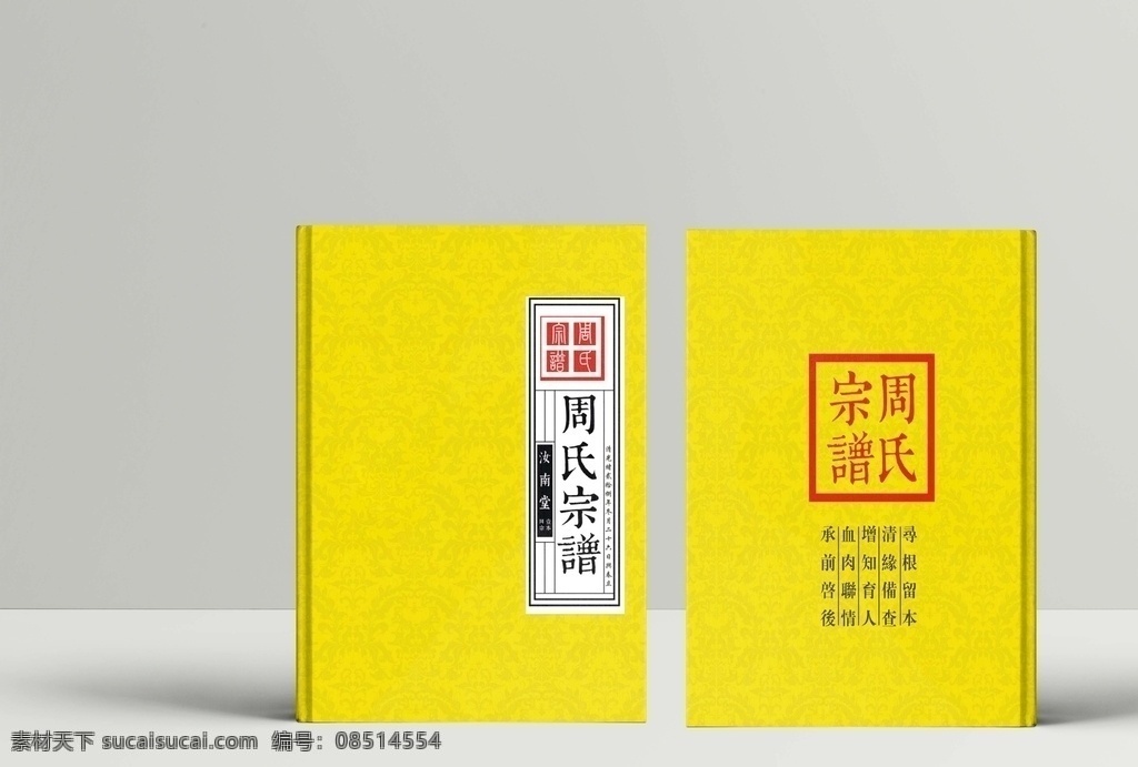 周氏宗谱 家谱 封面 精装书壳设计 封面设计