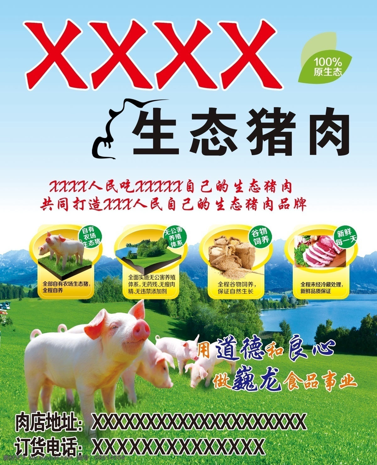猪草地背景 猪 草地 背景 饲料 天空