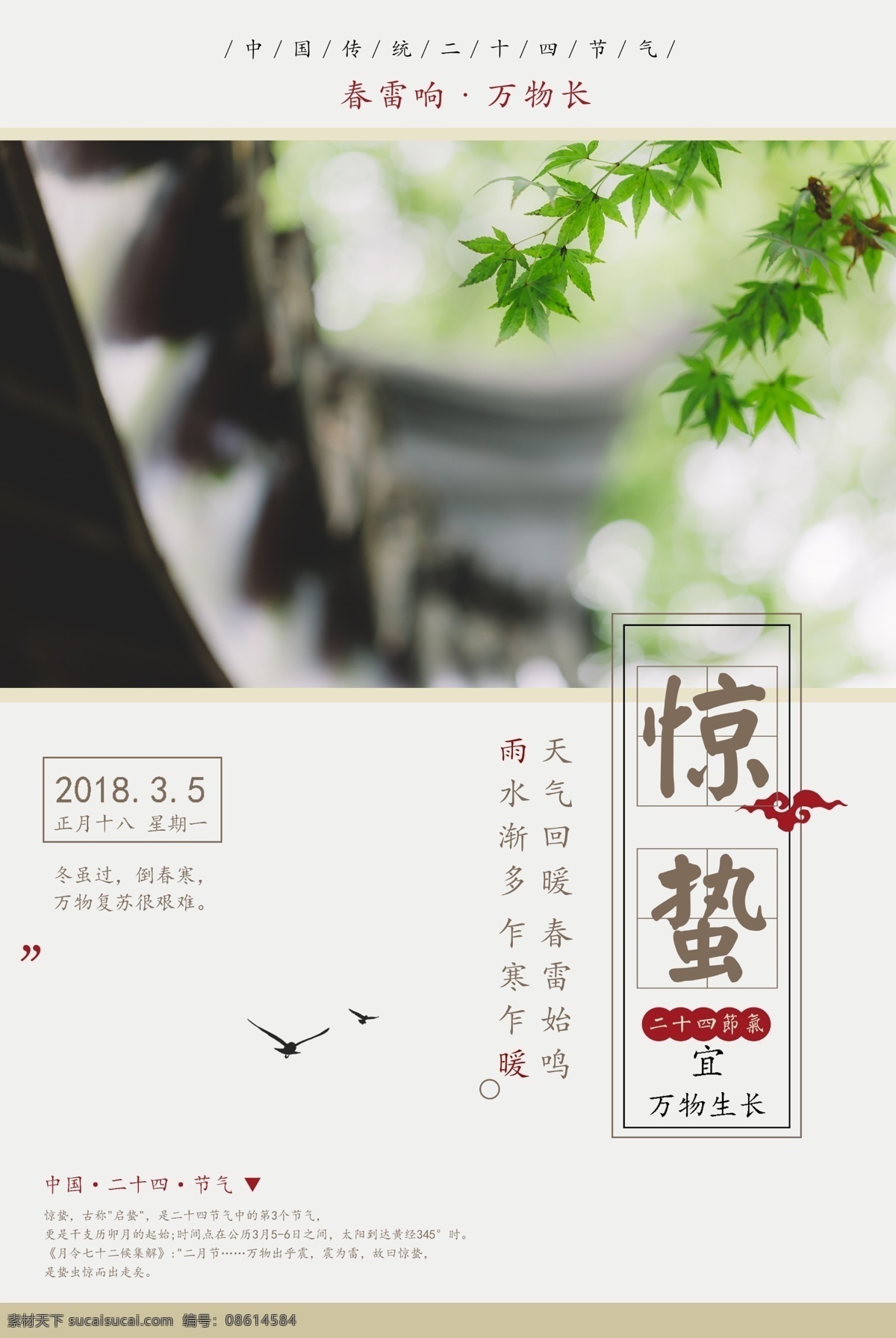中国 风 二十四节气 惊蛰 传统 传统节气 创意 春天 谷雨 海报 简约 节气海报 惊蛰海报 立春 清新 中国风 小清新
