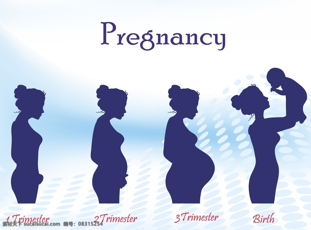 怀孕 全过程 简图 女人 小孩 过程图 白色