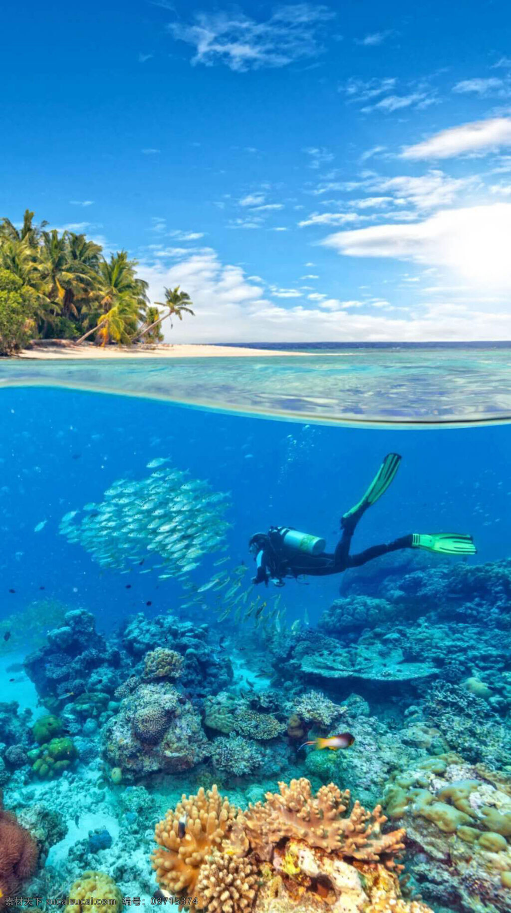 美丽 海洋 风景 蔚蓝的天空 雪白的云彩 绿树 椰子树 大海 碧蓝的海水 鱼群 美丽的珊瑚礁 潜水员 自然景观 自然风景