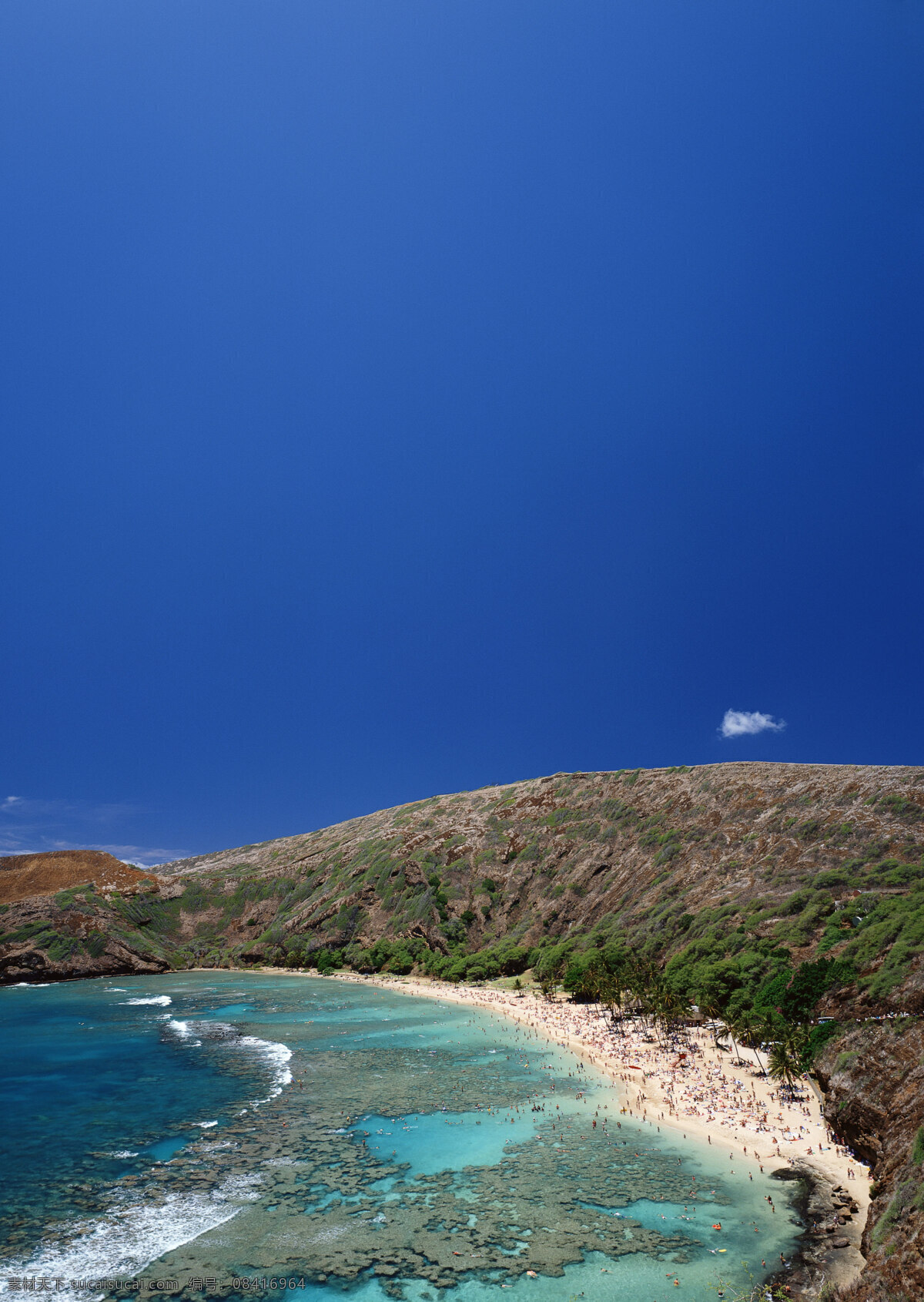 夏威夷 风光 海洋 海滩 沙滩 避暑胜地 海边 树木 夏天 夏日风情 清爽一夏 度假旅游 蔚蓝天空 国外旅游 旅游摄影 大海图片 风景图片