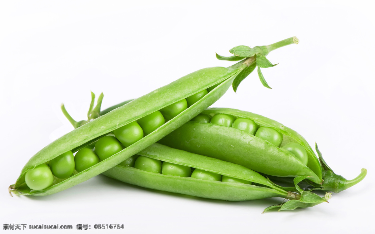 豌豆摄影图片 田园 农作物 蔬菜 豌豆 摄影图片 蔬菜水果 生物世界