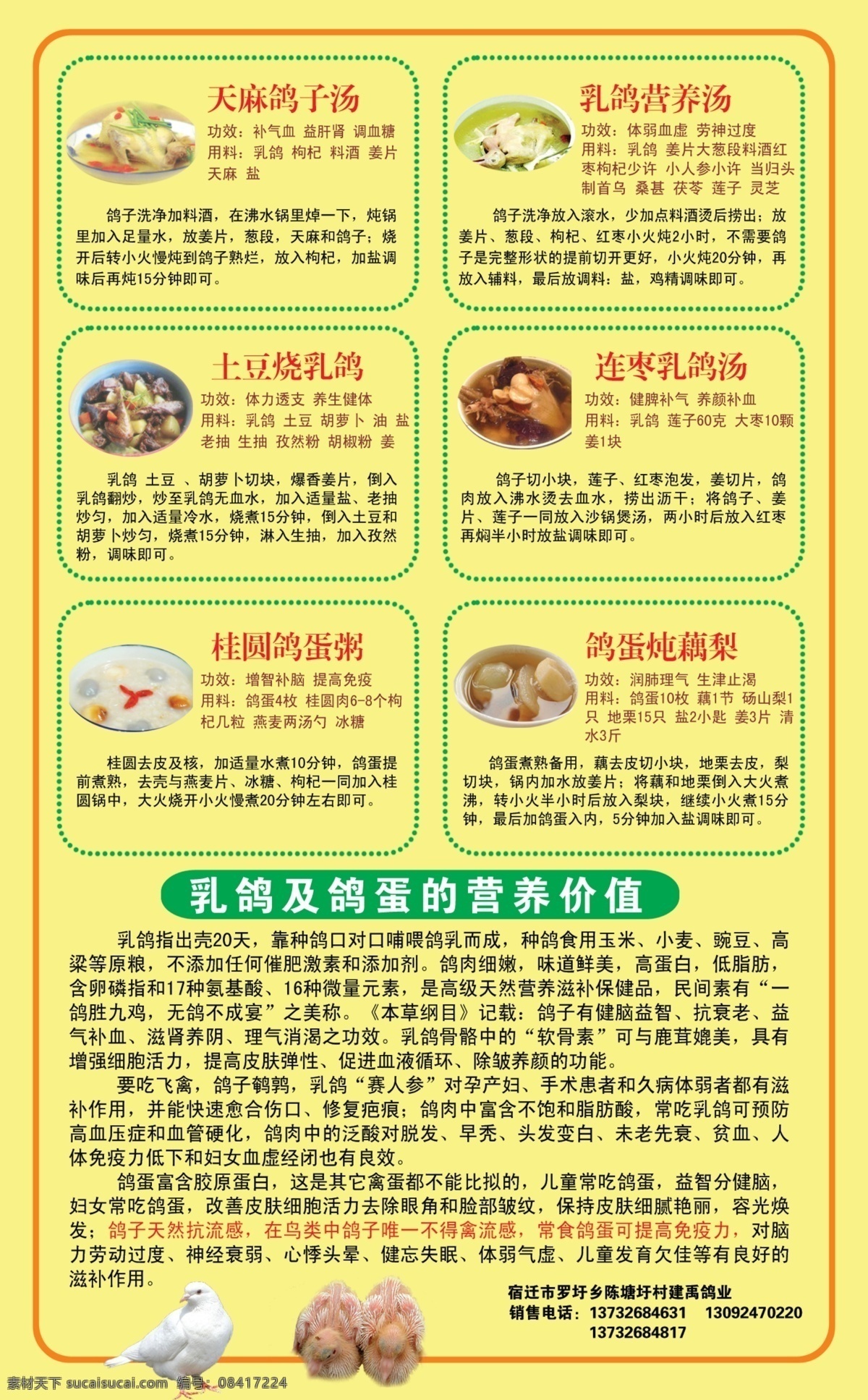乳鸽展板 乳鸽 鸽子汤 乳鸽汤 鸽蛋 乳鸽做法 营养价值 展板模板 广告设计模板 源文件