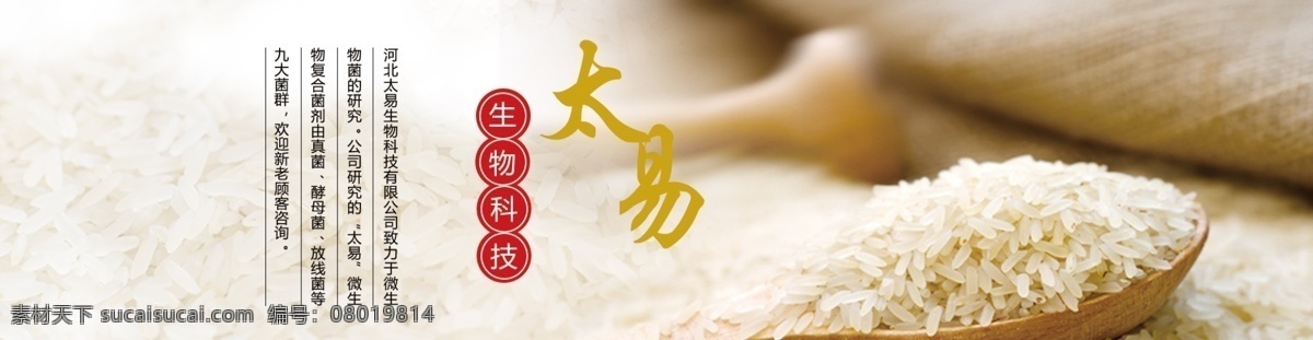 生物 菌肥 粮食 大米 网页 banner 肥料 生物菌剂 微生物菌肥 五谷