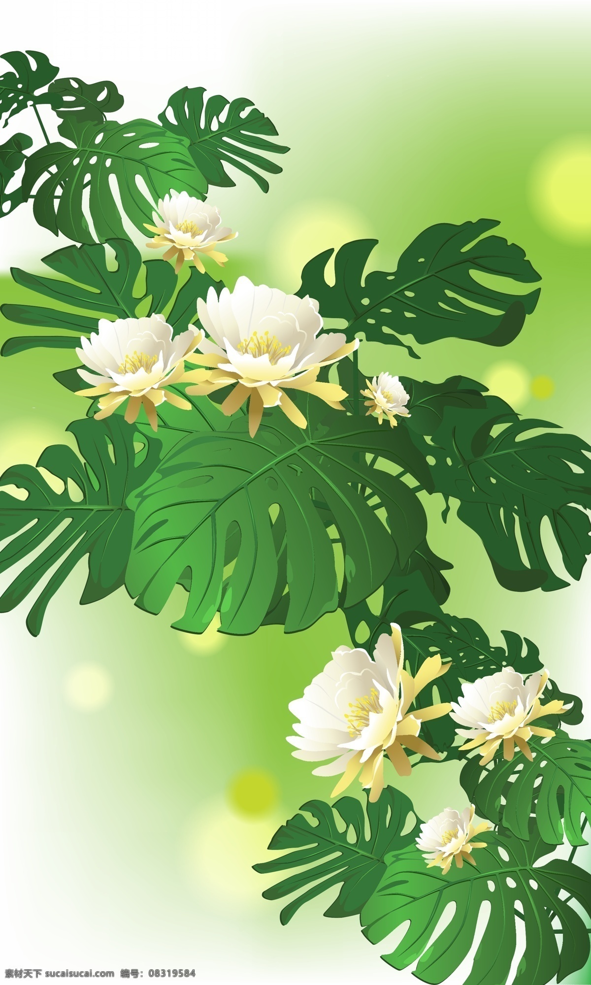 清新 白色 花朵 插画 白描 卡通 唯美 叶子 植物