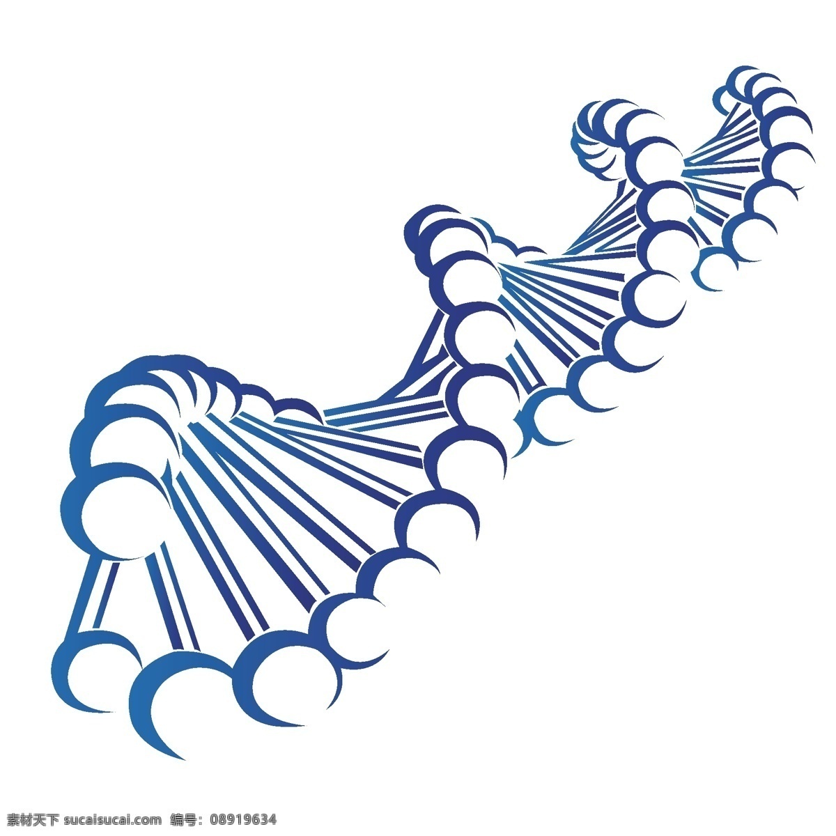 基因 双螺旋 细胞 矢量基因 矢量双螺旋