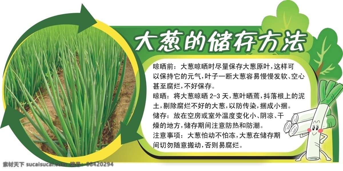 超市 大葱 存储 吊牌 超市吊牌 超市装饰 蔬菜 大葱存储方法 原创设计 原创海报