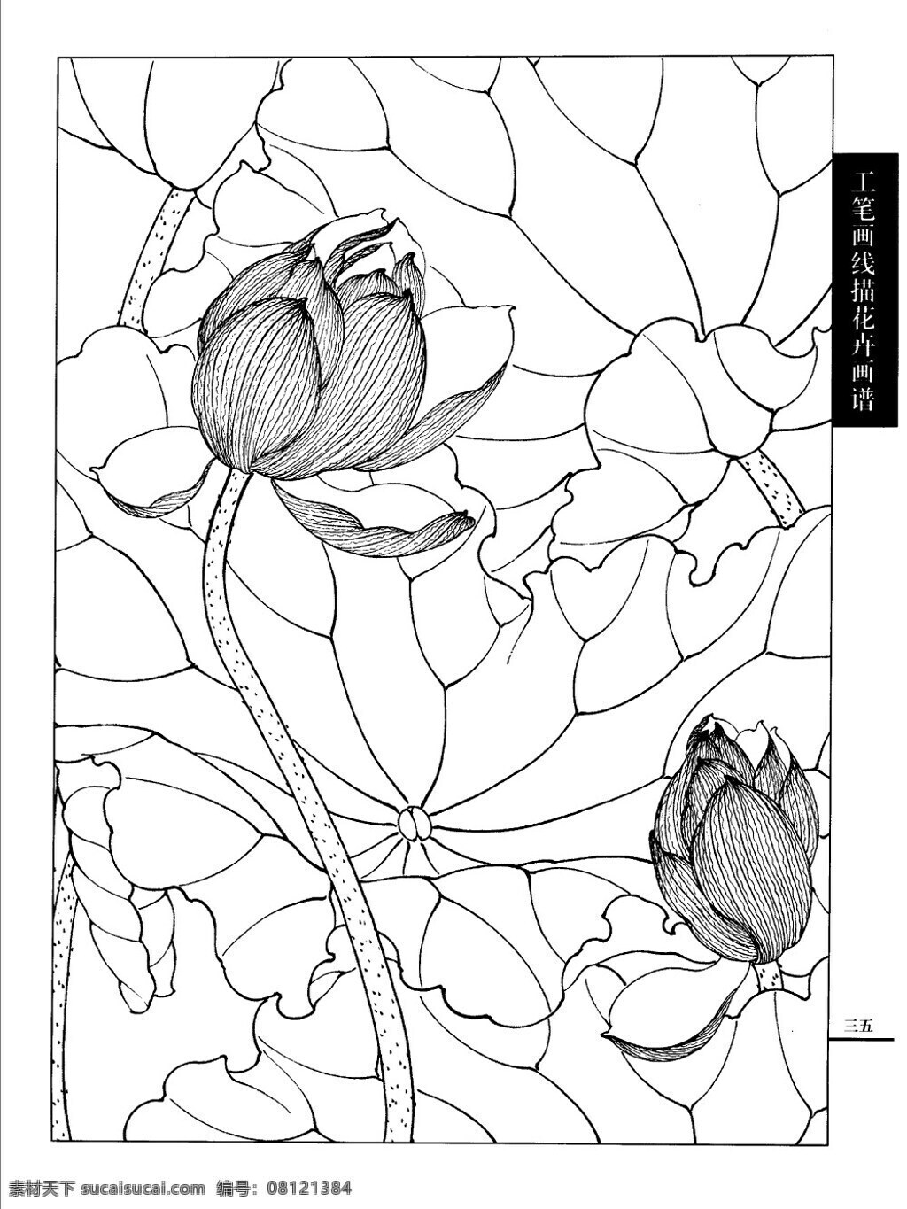 工笔 荷花 白描 画谱 线描 绘画书法 文化艺术