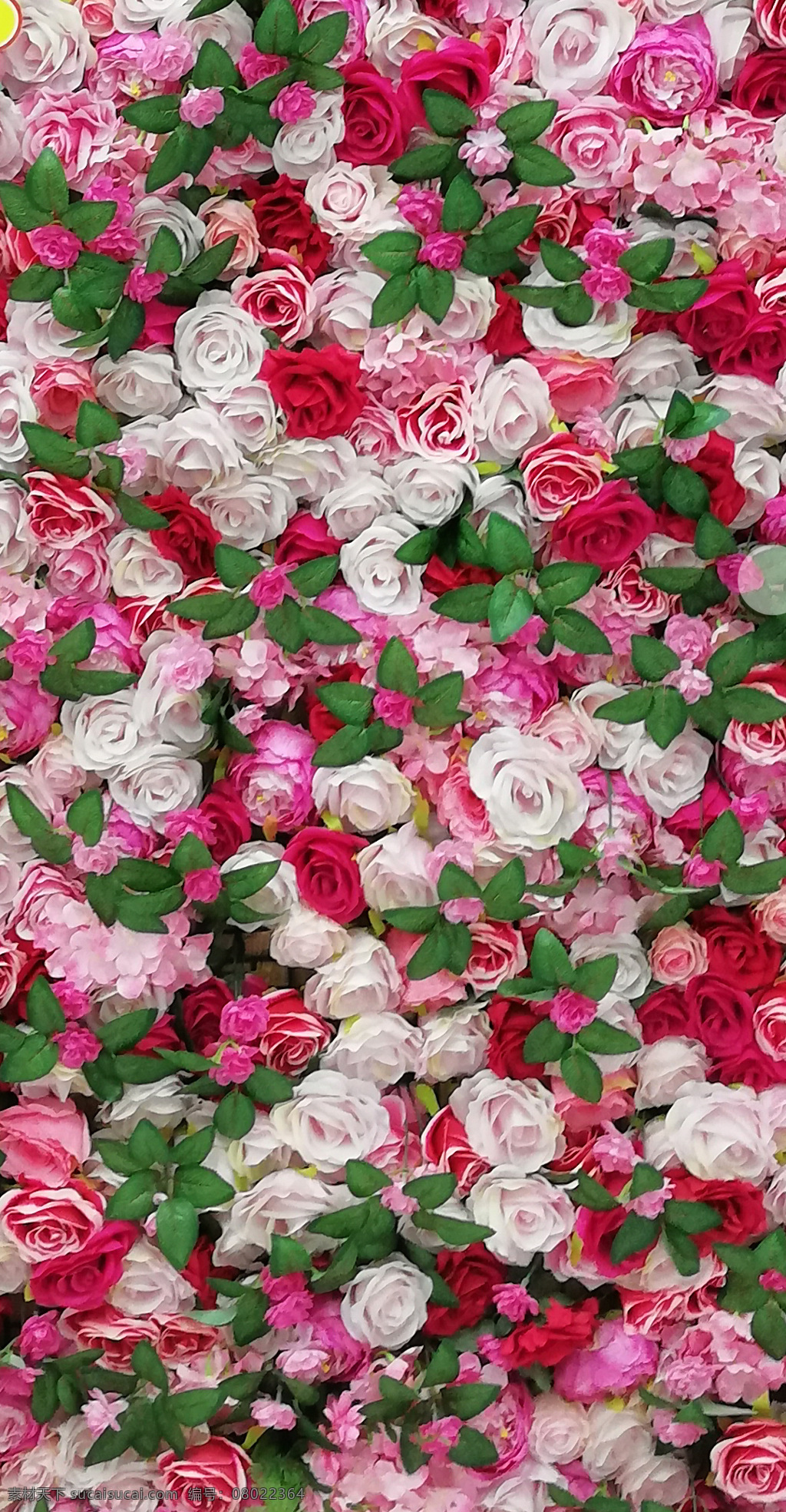 小花墙 花 白花 红花 绿叶 生活百科 生活素材