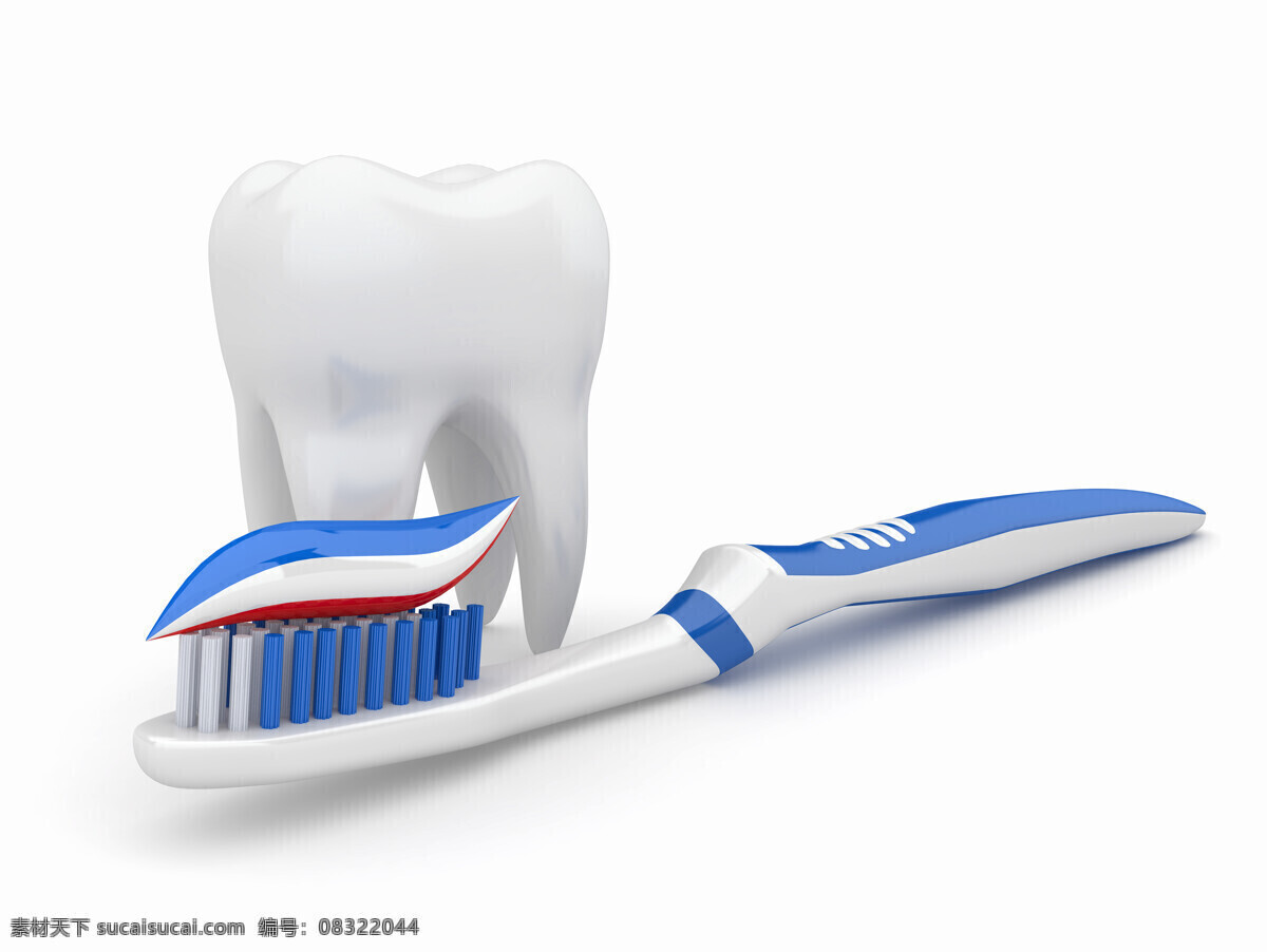 清洁 牙齿 牙膏 牙刷 牙齿模型 牙科 牙齿保健 医疗卫生 人体器官 生活用品 生活百科