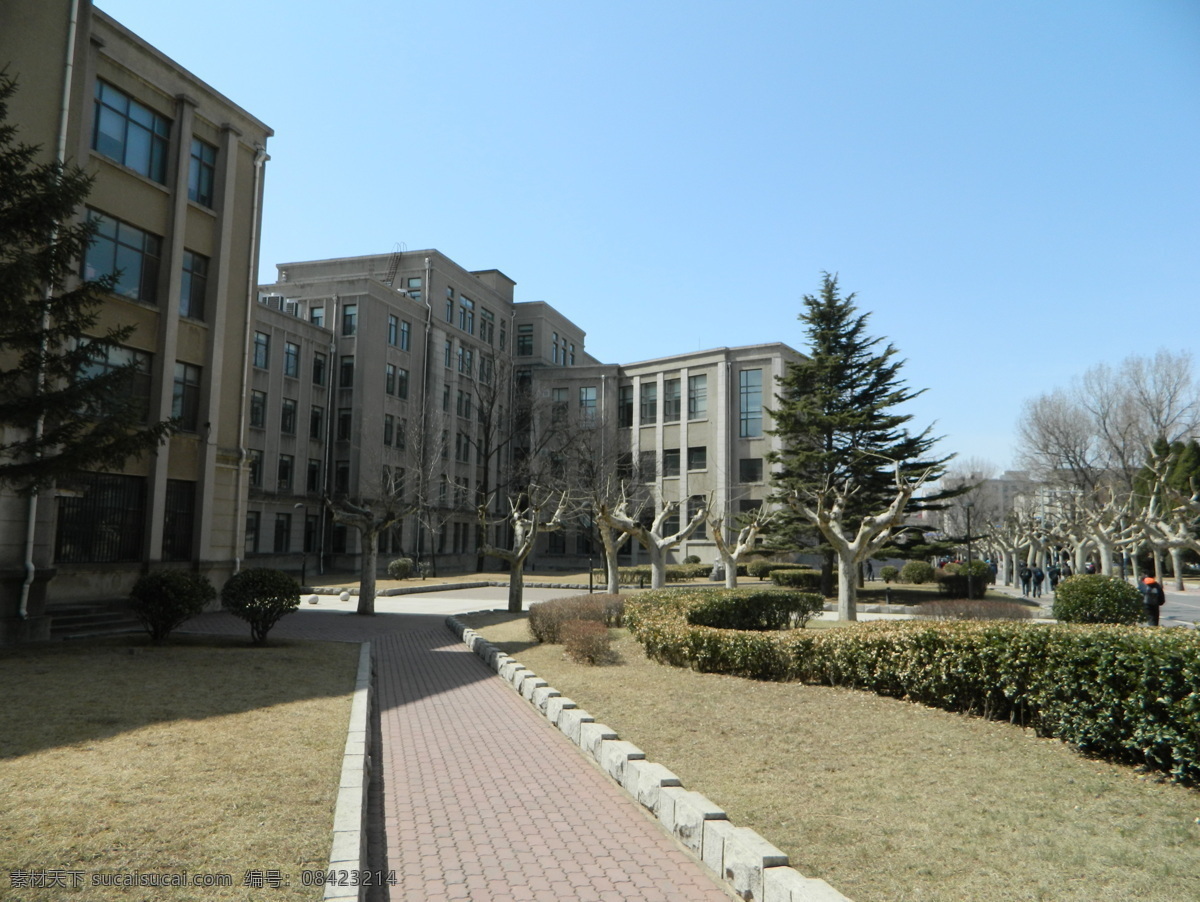 大连 理工 主楼 南侧 大连理工 大连理工大学 小路 蓝天 树木 绿树 草地 物理教室 松树 花园 建筑摄影 建筑园林