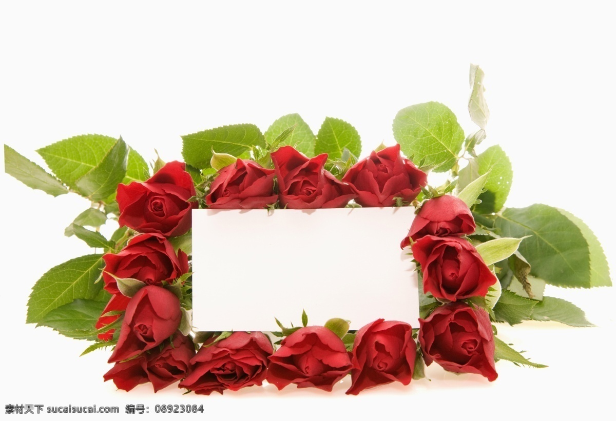 玫瑰花 空白 卡片 鲜花 花卉 郁金香 贺卡 空白卡片 花束 鲜艳 美丽 摄影图 高清图片 花草树木 生物世界