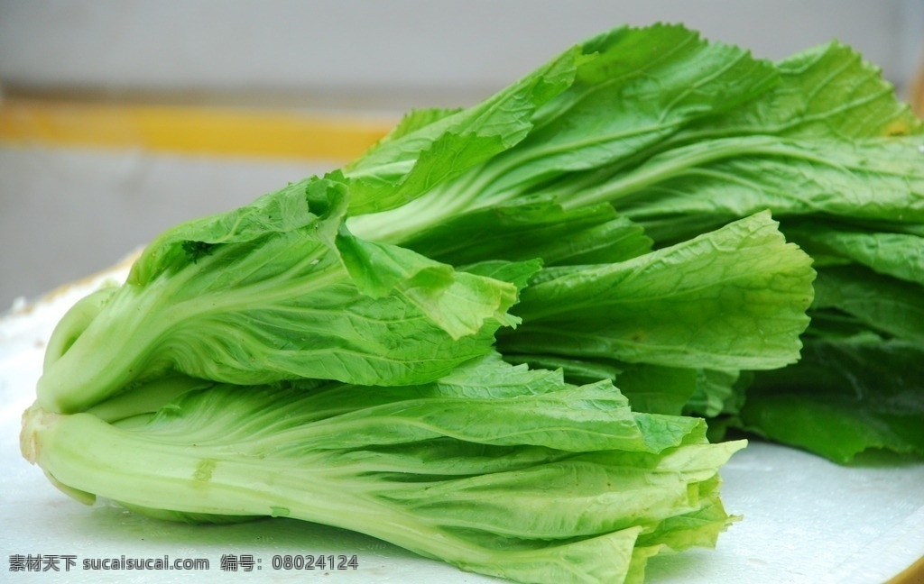 芥菜 青菜 蔬菜 菜叶 菜梗 绿色蔬菜 健康蔬菜 生物世界