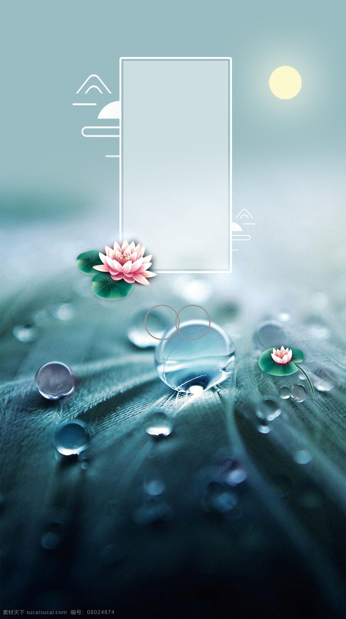 处暑 水滴 荷花 水背景 水 花 露水 雨水 分层 背景素材
