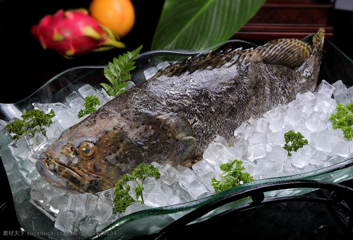 石斑鱼 龙鼎鱼 龙趸 海鲜 鲜鱼 食材 火锅 菜品 大全 餐饮美食 食物原料