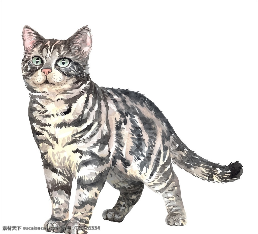 小猫插画 小猫 猫 猫矢量图 猫插画 杯子猫 手绘猫 可爱猫 萌猫 ai猫 可爱猫咪 卡通猫 印花图案 动物印花 小猫印花 矢量猫 绘画猫 可爱卡通猫 猫咪 猫素材 卡通素材 宠物 卡通猫源文件 猫猫 甜甜猫 各种猫 幸福猫 创意猫 动漫动画