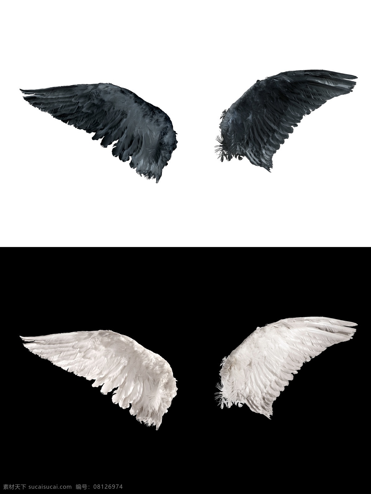 翅膀 分层 翅膀素材下载 天使 天使翅膀 源文件 翅膀模板下载 鸟类翅膀 鸟翅膀 psd源文件