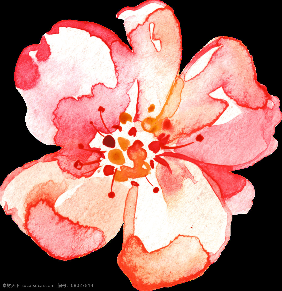 手绘 水彩 墨迹 风格 花朵 透明 透明素材 免扣素材 装饰图片 艺术 渐变