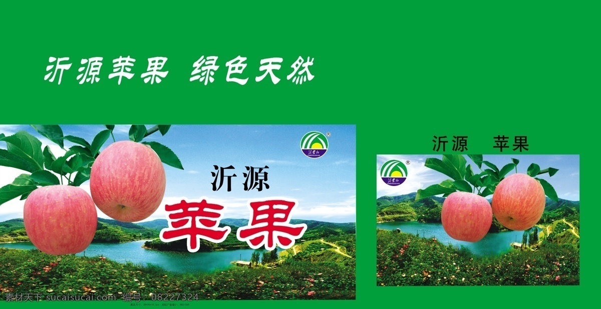 苹果箱 纸箱 产品包装 苹果 包装 包装设计