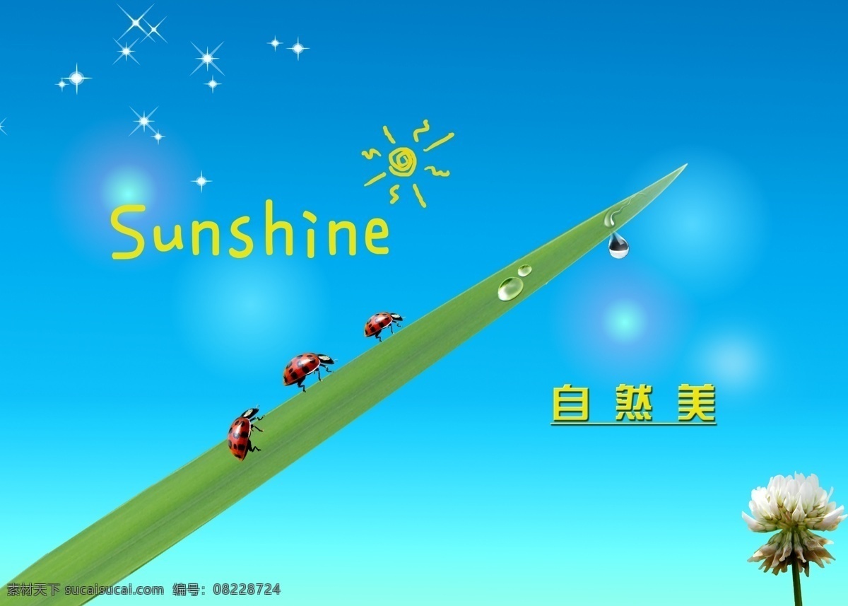 分层 绿叶 七星瓢虫 水滴 水珠 太阳 小花 星星点点 自然美 模板下载 自然 叶子 源文件