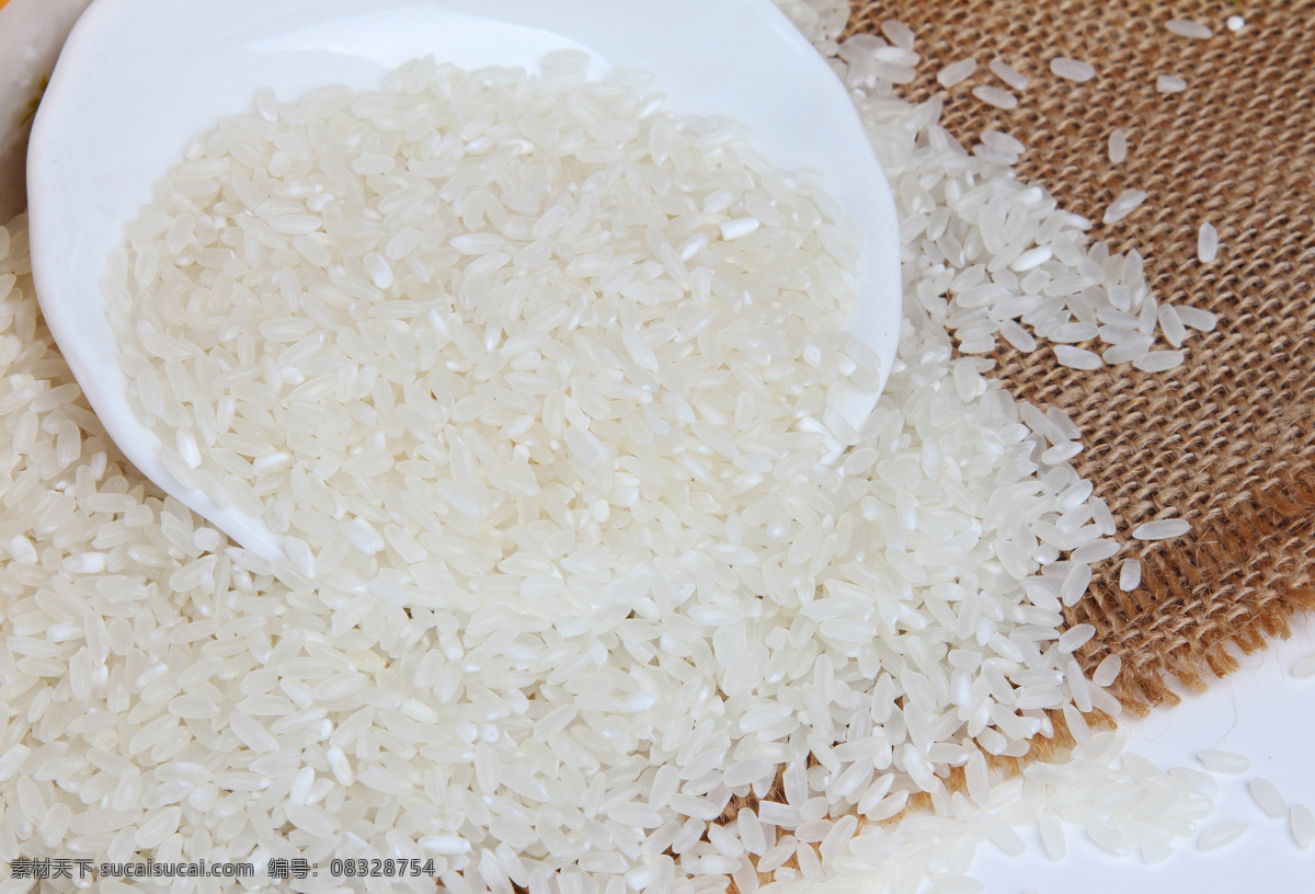 米 大米 黑龙江大米 东北大米 五常大米 餐饮美食 食物原料