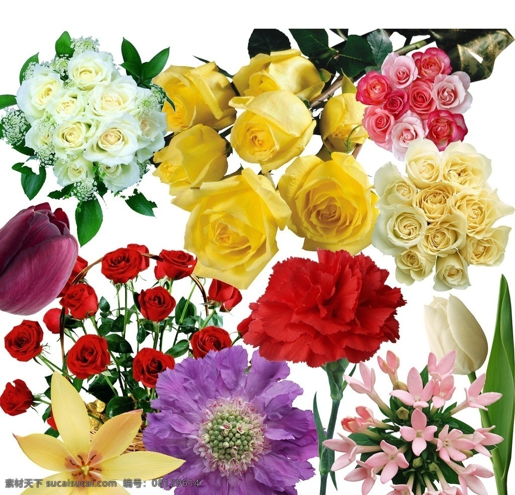 扣 好 百花 图 黄玫瑰 红玫瑰 百合花 白玫瑰 玫瑰花 分层 ps分层素材 源文件