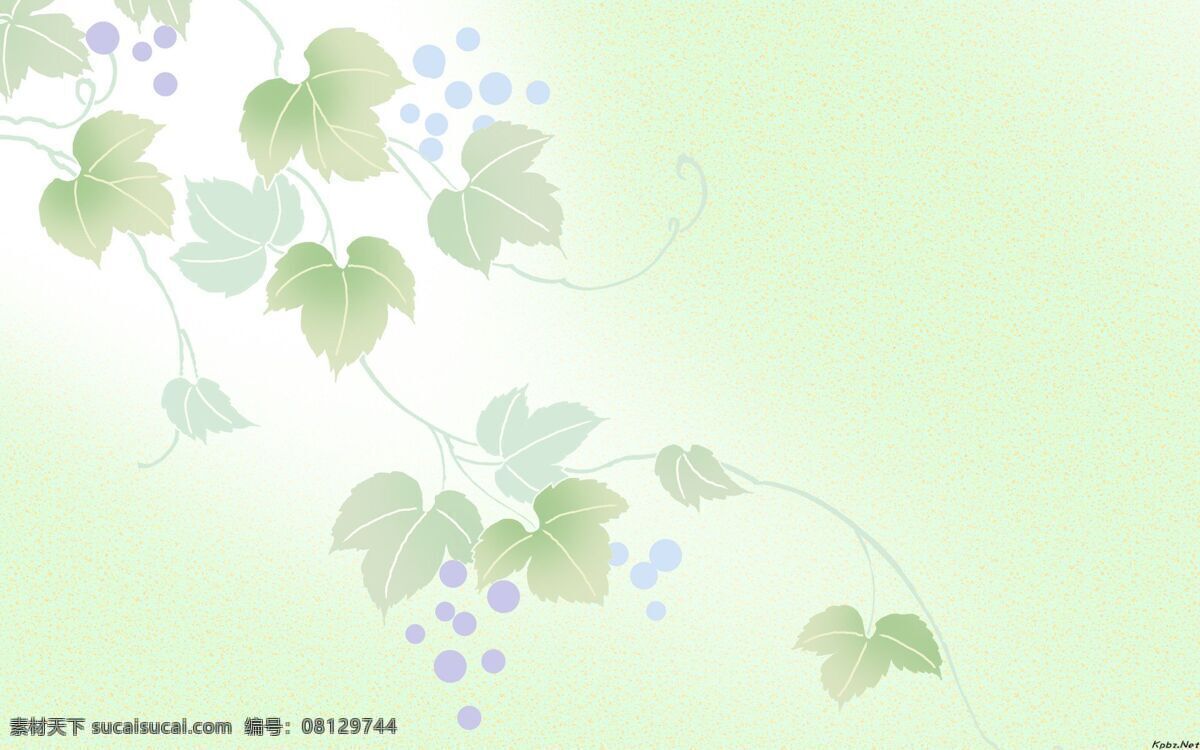 花朵 背景 简单 色彩 颜色 背景图片