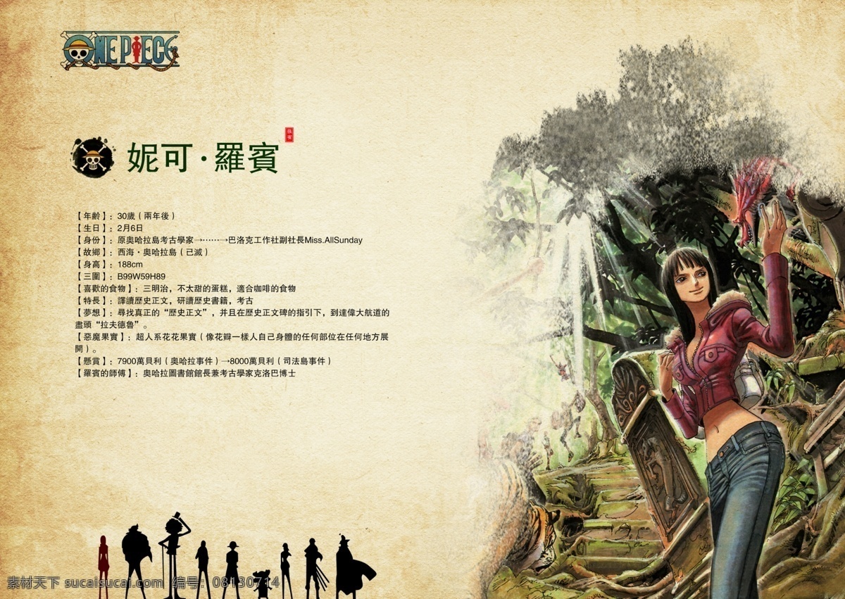 罗宾 海贼王 路飞 索隆 佐罗 剑士 海贼猎人 香吉士 香吉君 厨师 乔巴医生 乔巴 乌索普 狙击王 灵魂之王 布鲁克 弗兰奇 娜美 妮可罗宾 one piece 大秘宝 角色 海贼王人物 尾田荣一郎 动漫 卡通 蒙奇d路飞 海盗王 卡通人物 动漫人物 人物 动漫动画 海报 分层 源文件