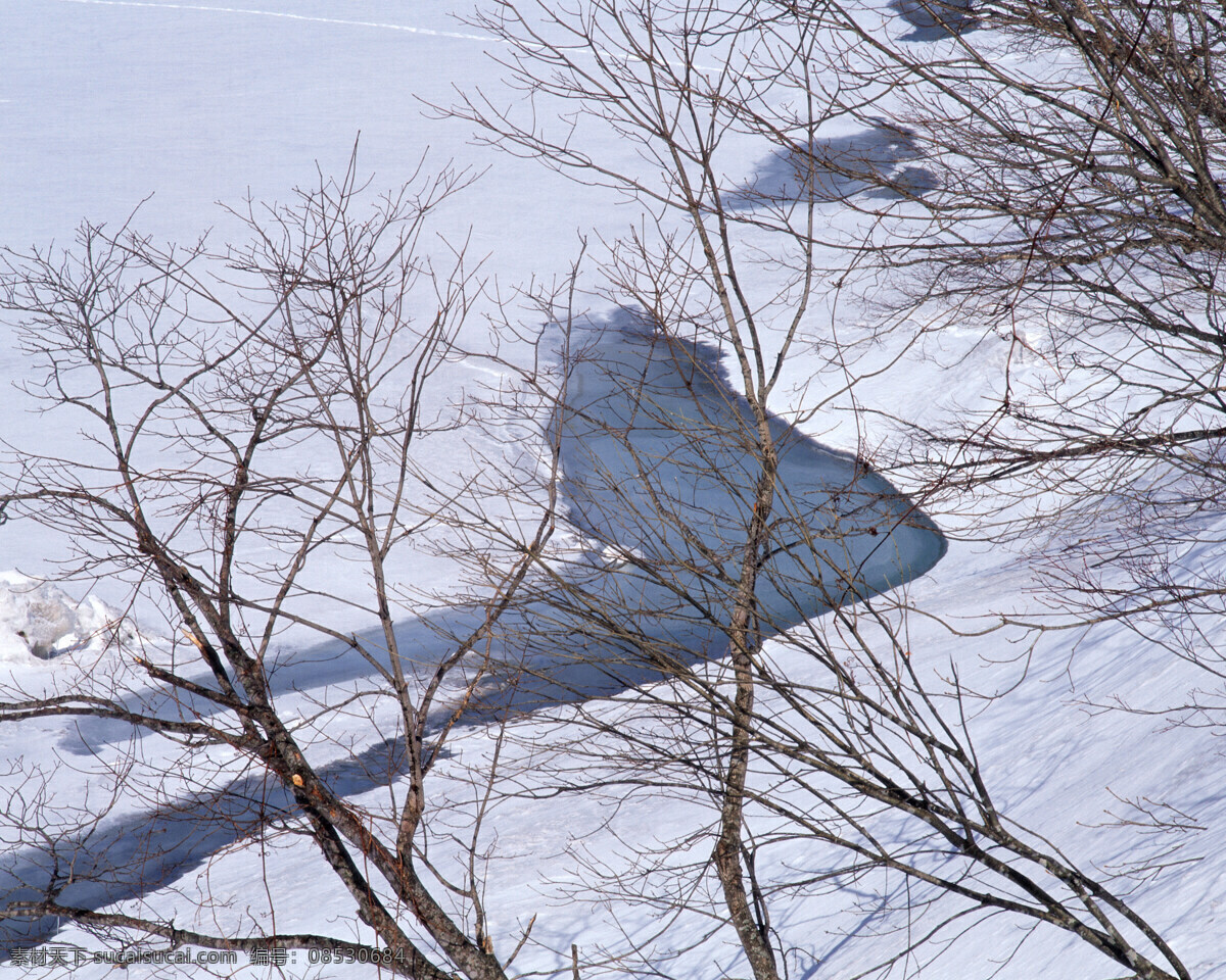 倒影 小 树枝 白雪皑皑 雪景 雪松 白雪风光 森林大雪 风景 生活 旅游餐饮