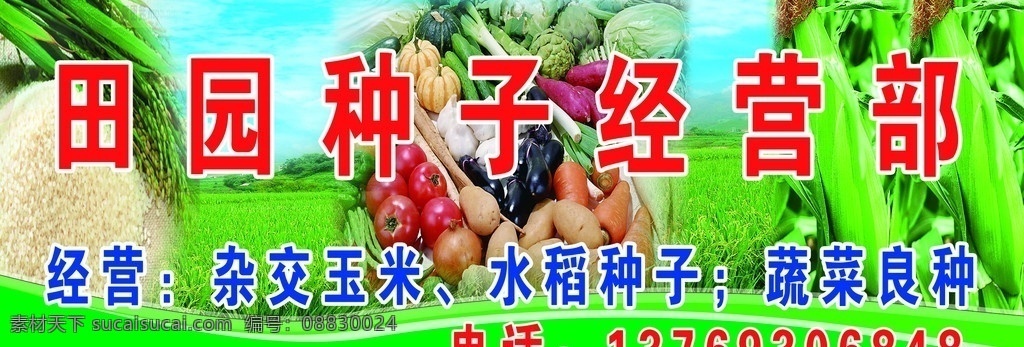 田园种子店 稻田 蓝天 农作物 大米 玉米 蕃茄 萝卜 分层 源文件