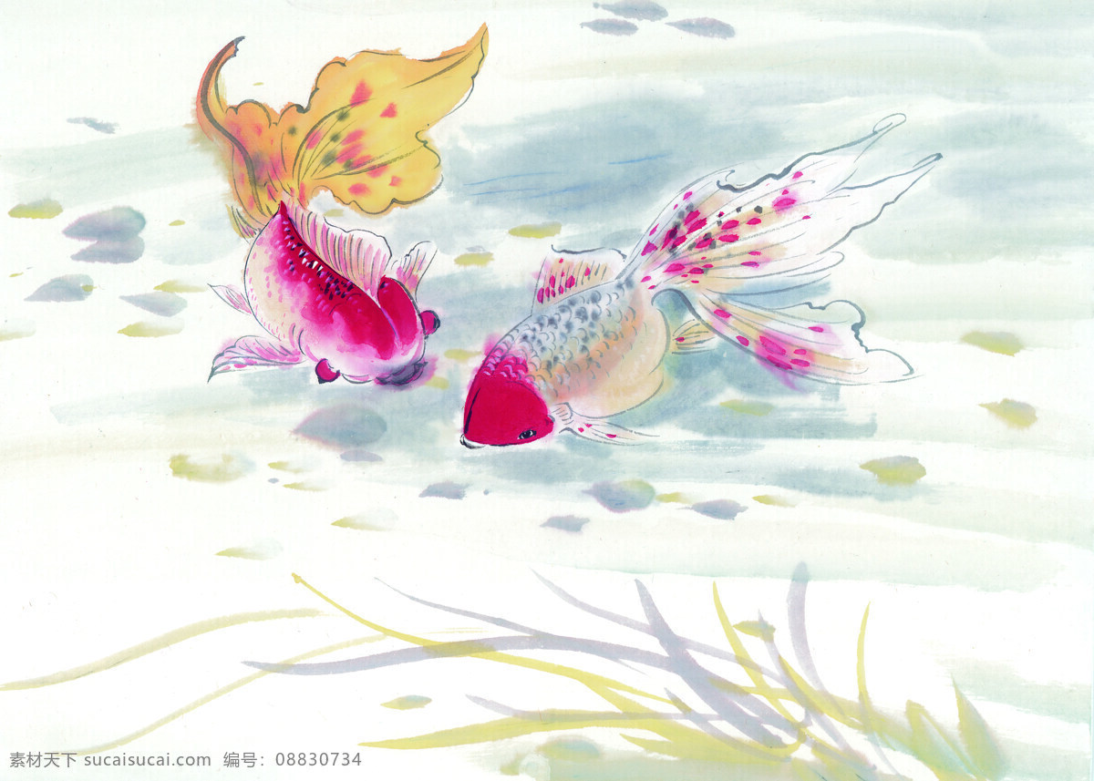 中华 艺术 绘画 古画 鱼 水生植物 金鱼 螃蟹 中国 古代 传统绘画艺术 美术绘画 名画欣赏 水彩画 水墨画 文化艺术