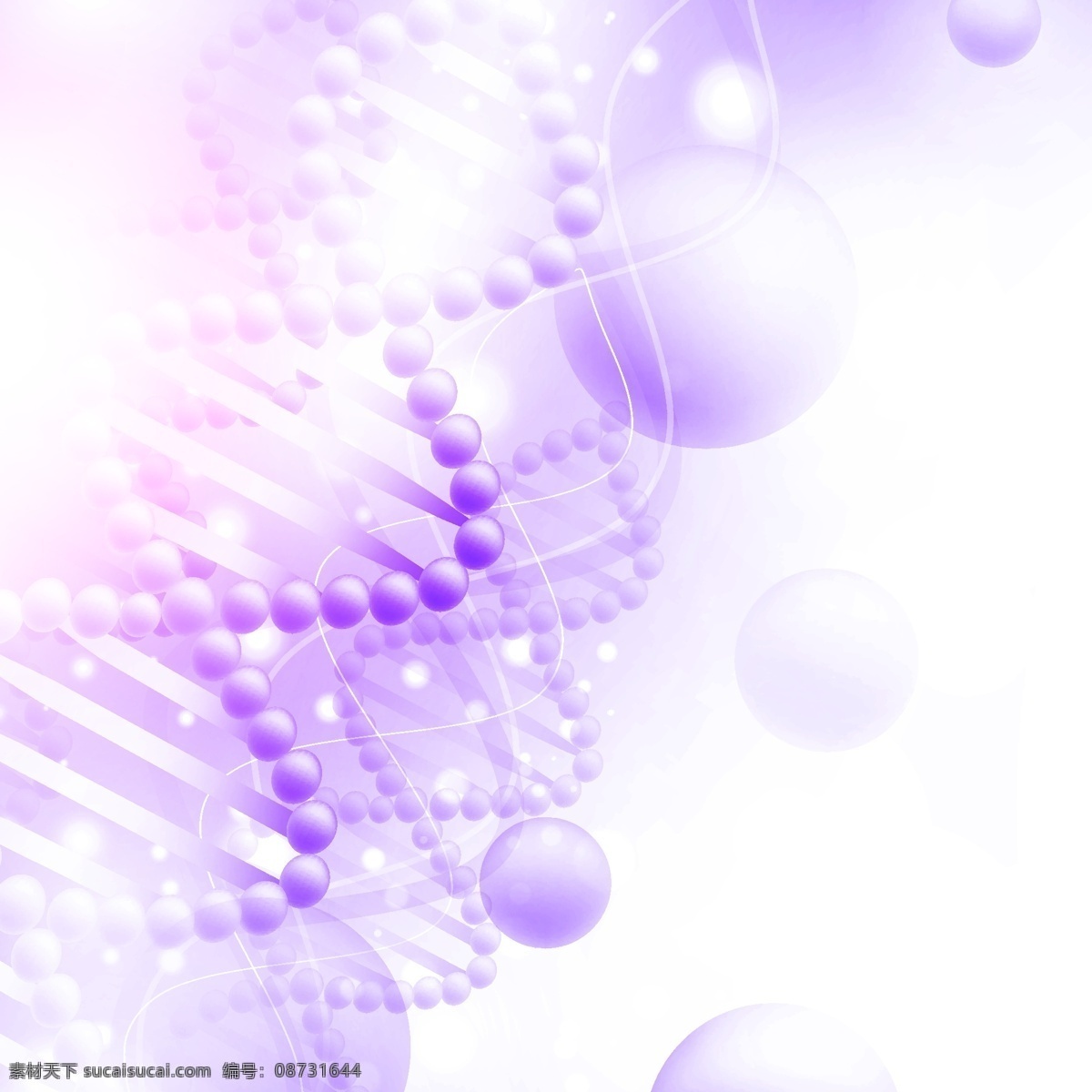 dna 科学 医学 生物 生物化学 生物学 技术细胞 化学 铬染 色体 克隆 代码 进化
