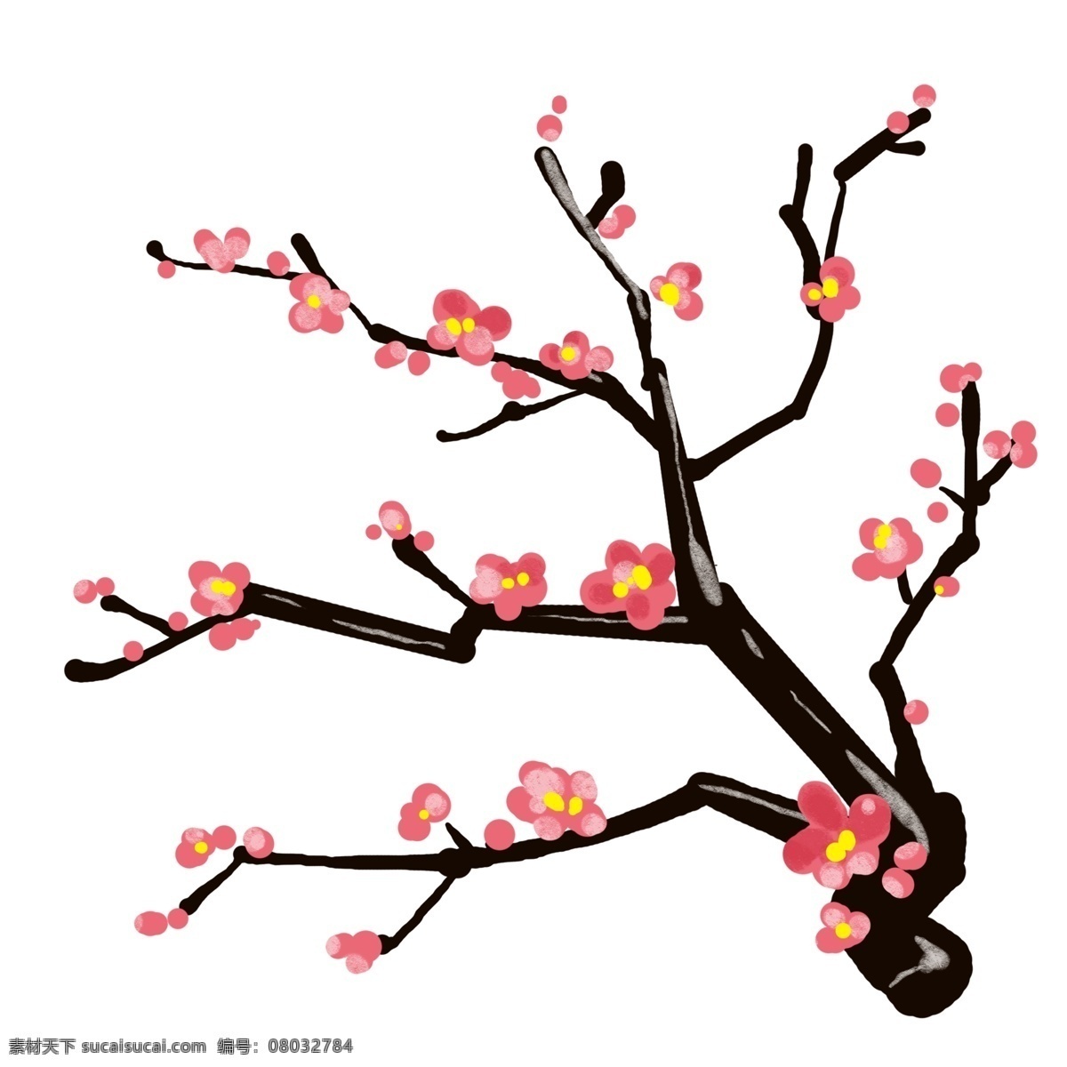 红色 梅花 手绘 插画 红色的梅花 漂亮的梅花 手绘梅花 春分梅花 春季梅花 春天梅花 梅花装饰