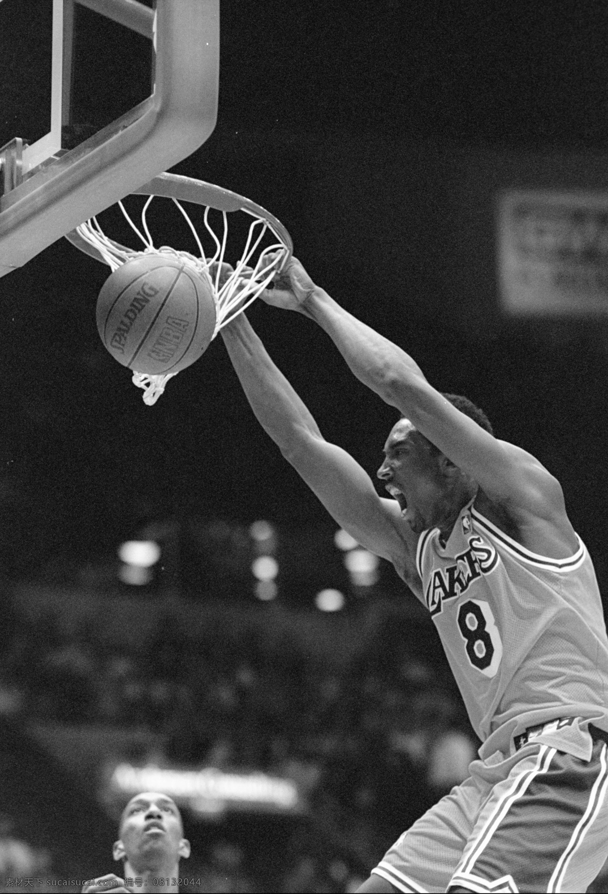 科比 nba 明星偶像 人物图库 湖人队