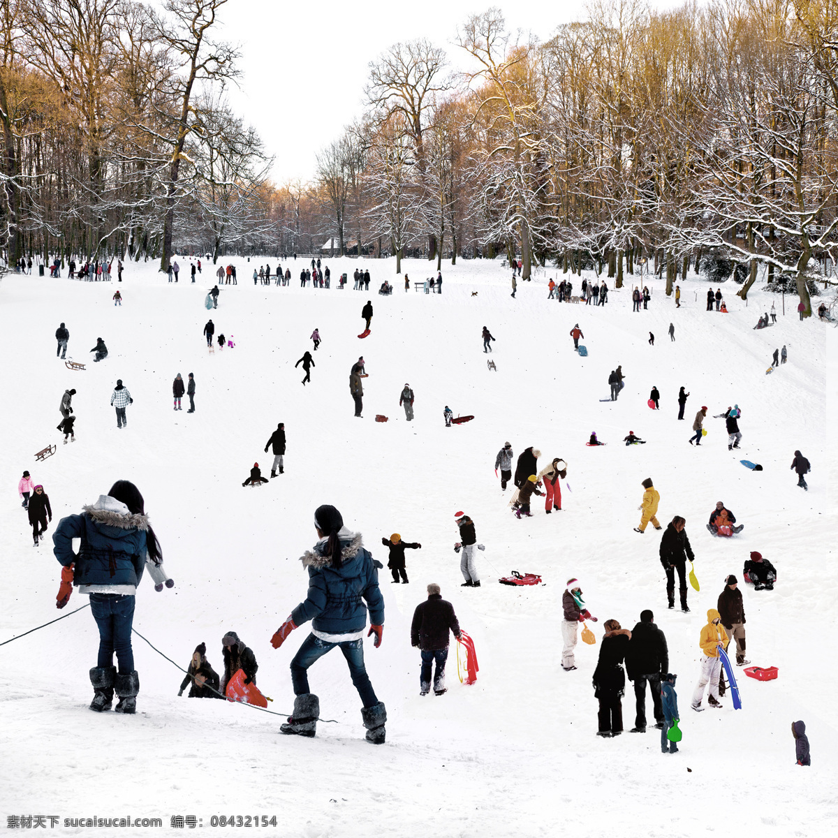 冬天 公园 滑雪 人们 冬天公园 自然风光 公园美景 雪地 自然风景 自然景观 白色