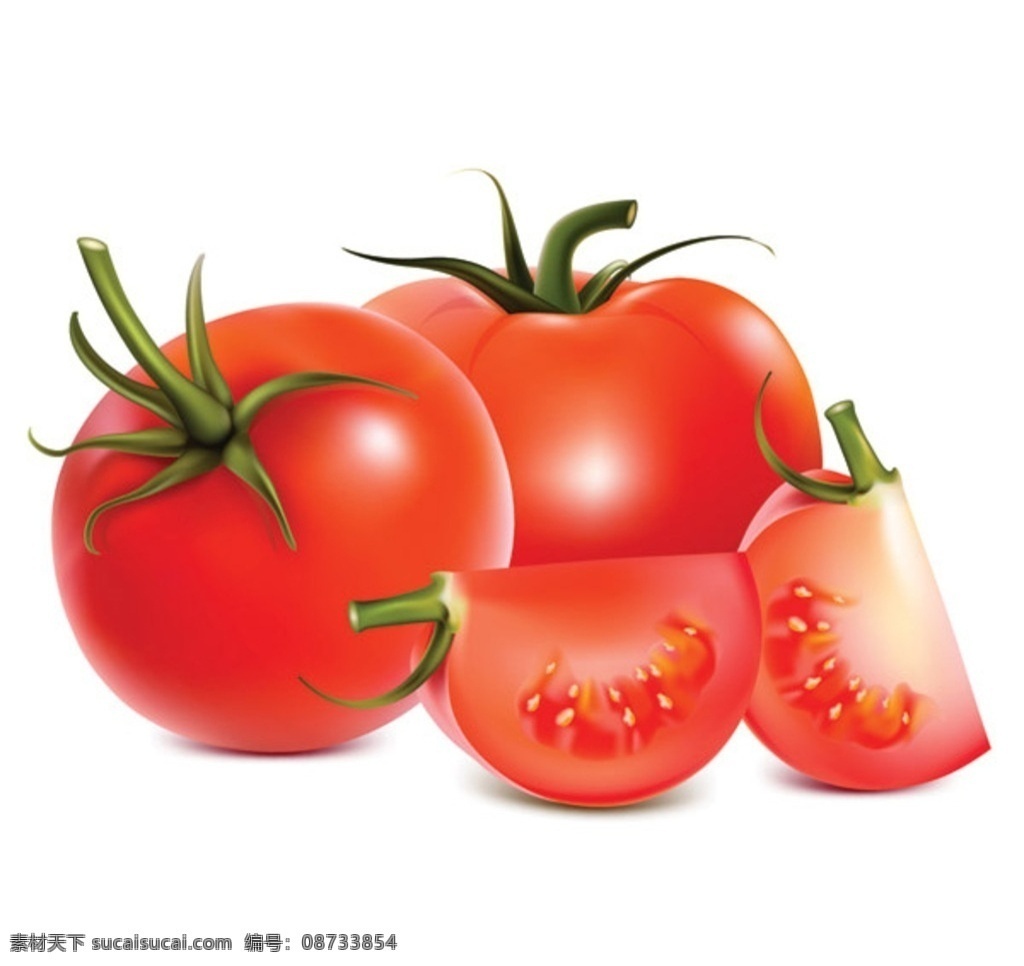款 西红柿 番茄 手绘 矢量 矢量素材 蕃柿 洋柿子 蔬菜 食物 食材 餐饮美食 食物原料 生物世界