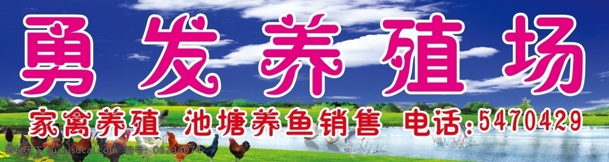 勇 发 养殖场 白云 鸡 家禽 蓝天 鸭 招贴设计 勇发养殖场 分层图 海报 其他海报设计