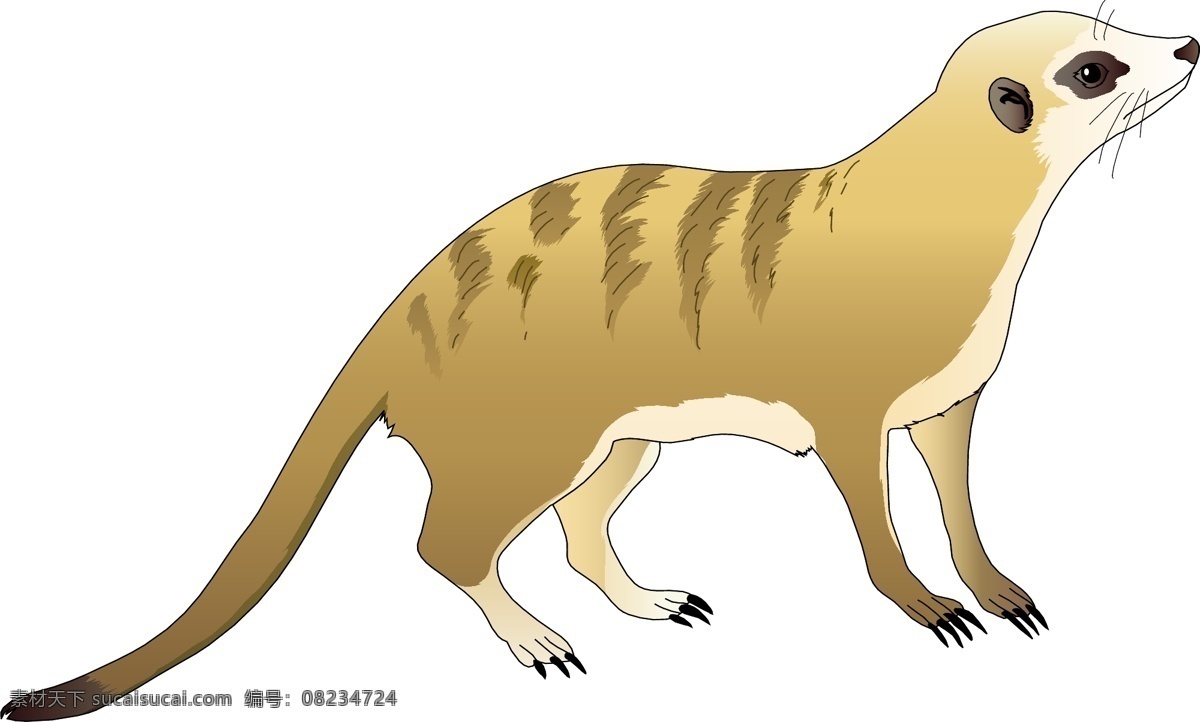卡通 鼬鼠 设计素材 动物 墙贴 贴纸 野生动物 矢量图 其他矢量图