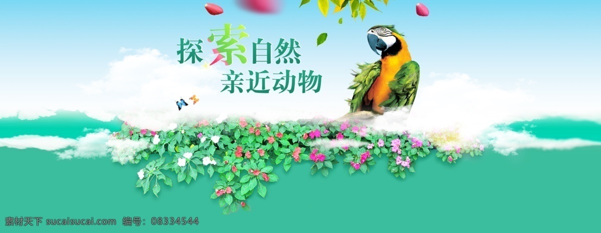 蓝天 白云 大自然 网页 专题 淡雅 鸟 鸟语花香 清澈 清爽 清新 鹦鹉 网页素材 网页模板