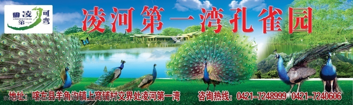 凌河 湾 孔雀 园 凌河第一湾 生态 绿色 风景