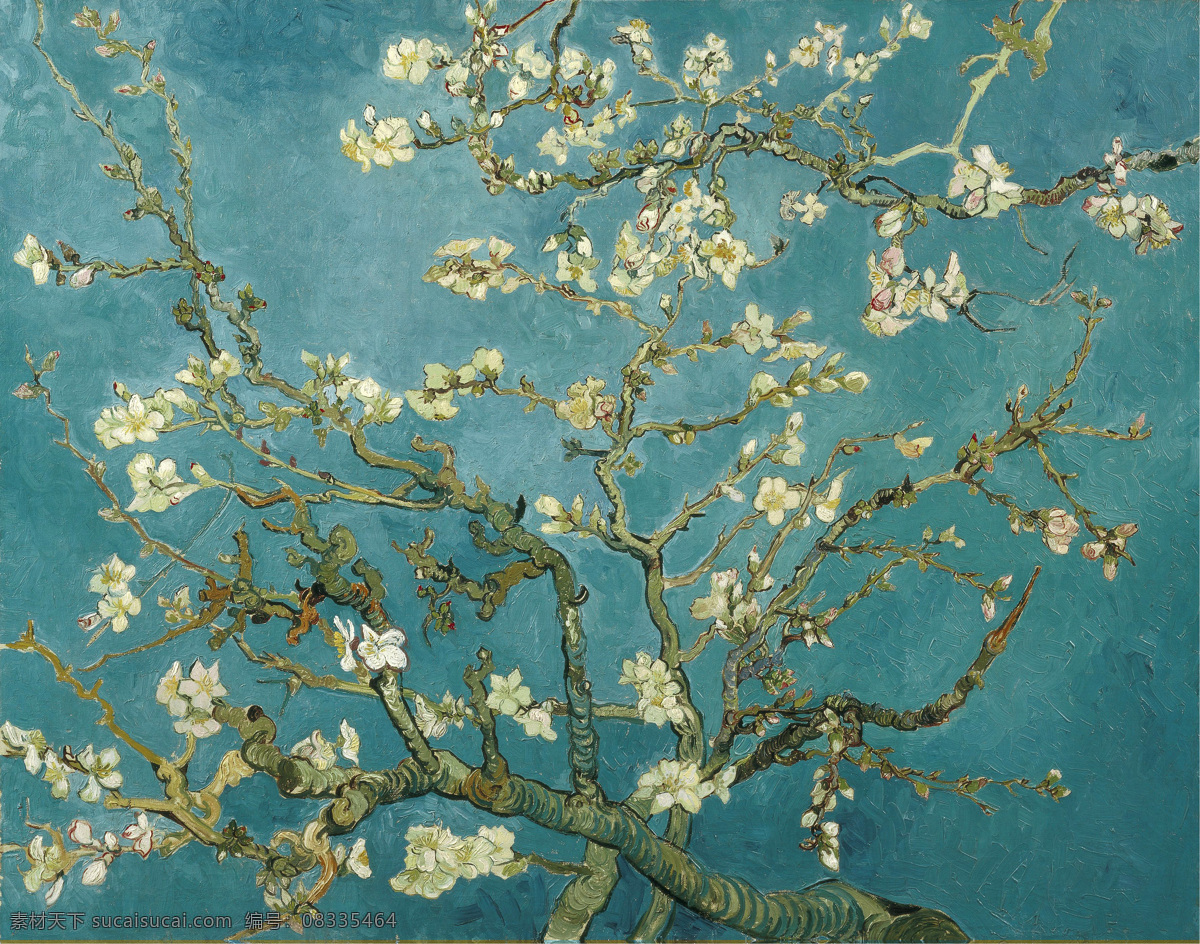 梵高 杏花 油画作品 植物 油画 装饰画 绘画书法 文化艺术