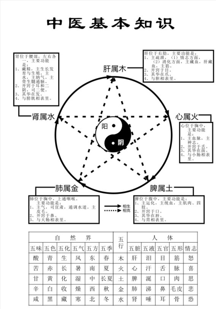 中医基础知识 阴阳 五行 五脏 六腑 相生 相克 自然界 人体 五色 五味 五化 生活百科 医疗保健