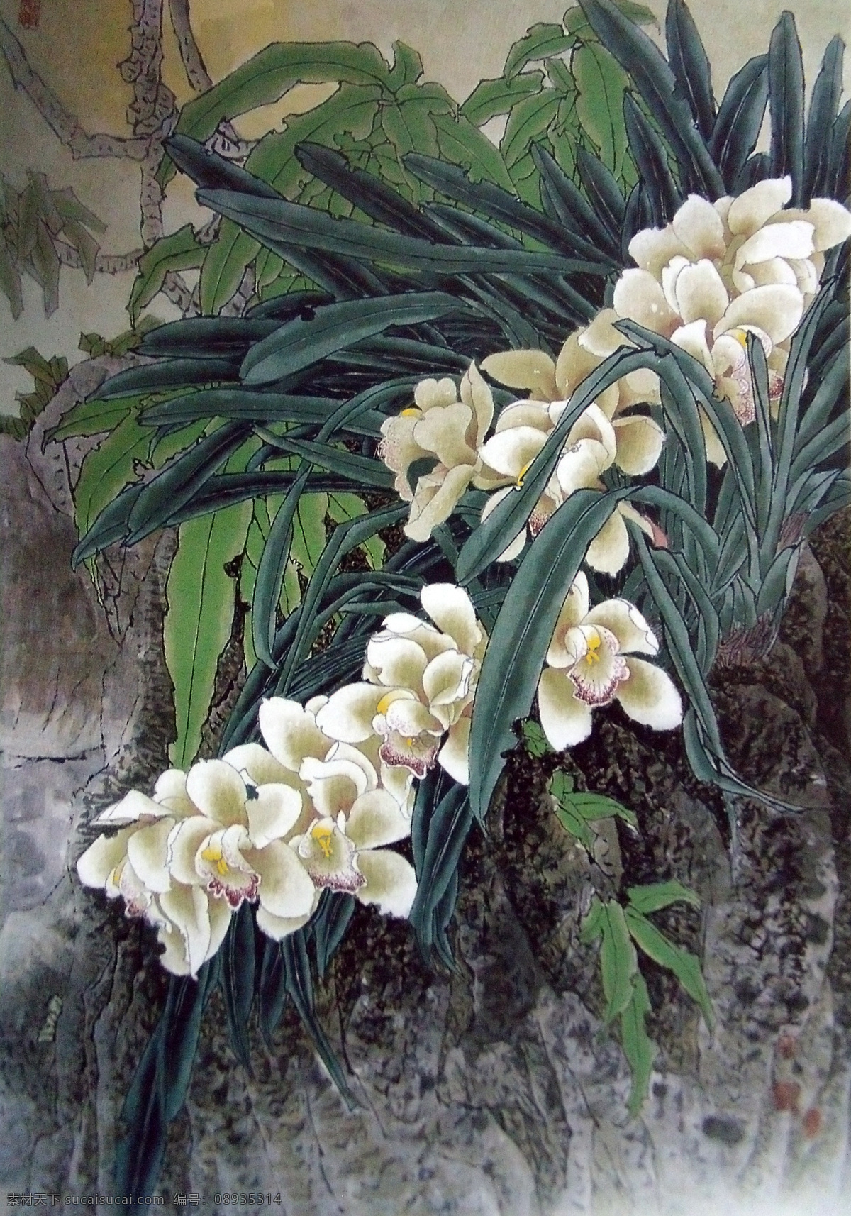 花卉 植物 装饰画 水墨画 名画 水墨花卉植物 国画 中国画 绘画艺术 挂画 书画文字 文化艺术