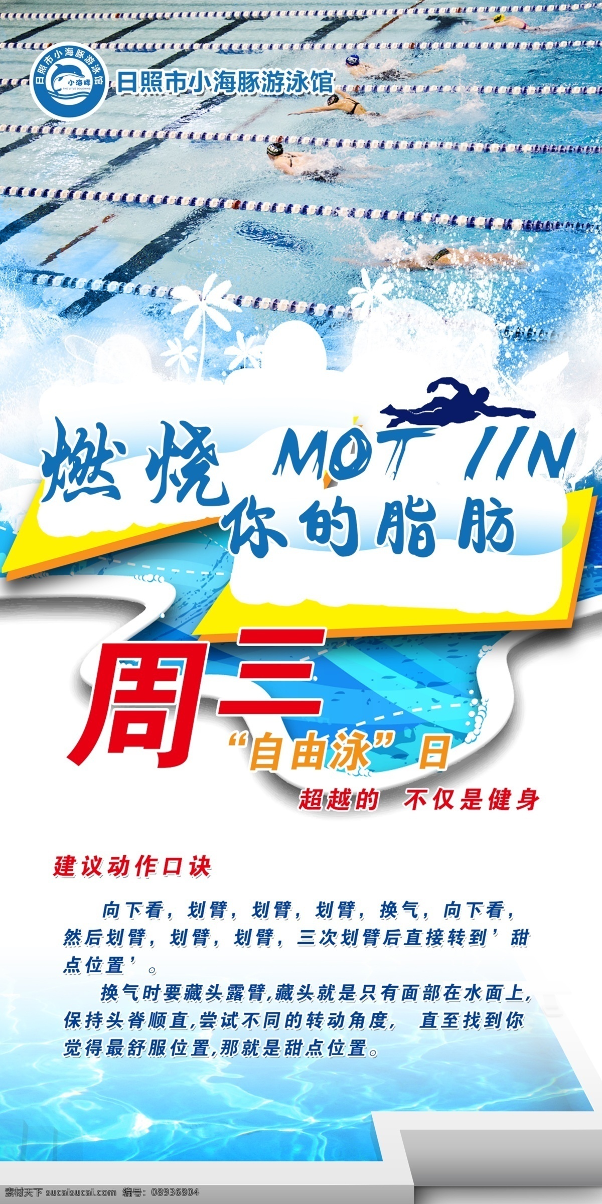 自由泳 游泳 游泳海报 海报 游泳竞技 蛙泳 蝶泳 仰泳 游泳介绍 减肥 游泳减肥 游泳瘦身