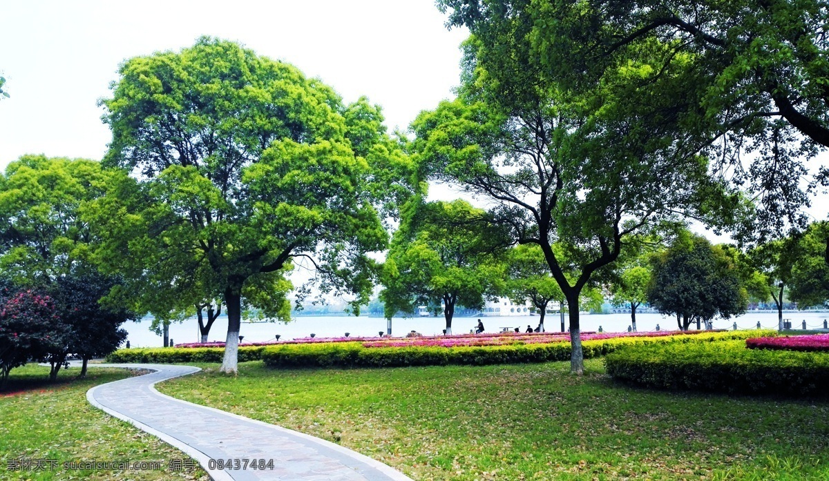 阳光 草地 草坪 绿地 步道 树荫 大树 树木 公园 花朵 花草 自然景观 自然风景