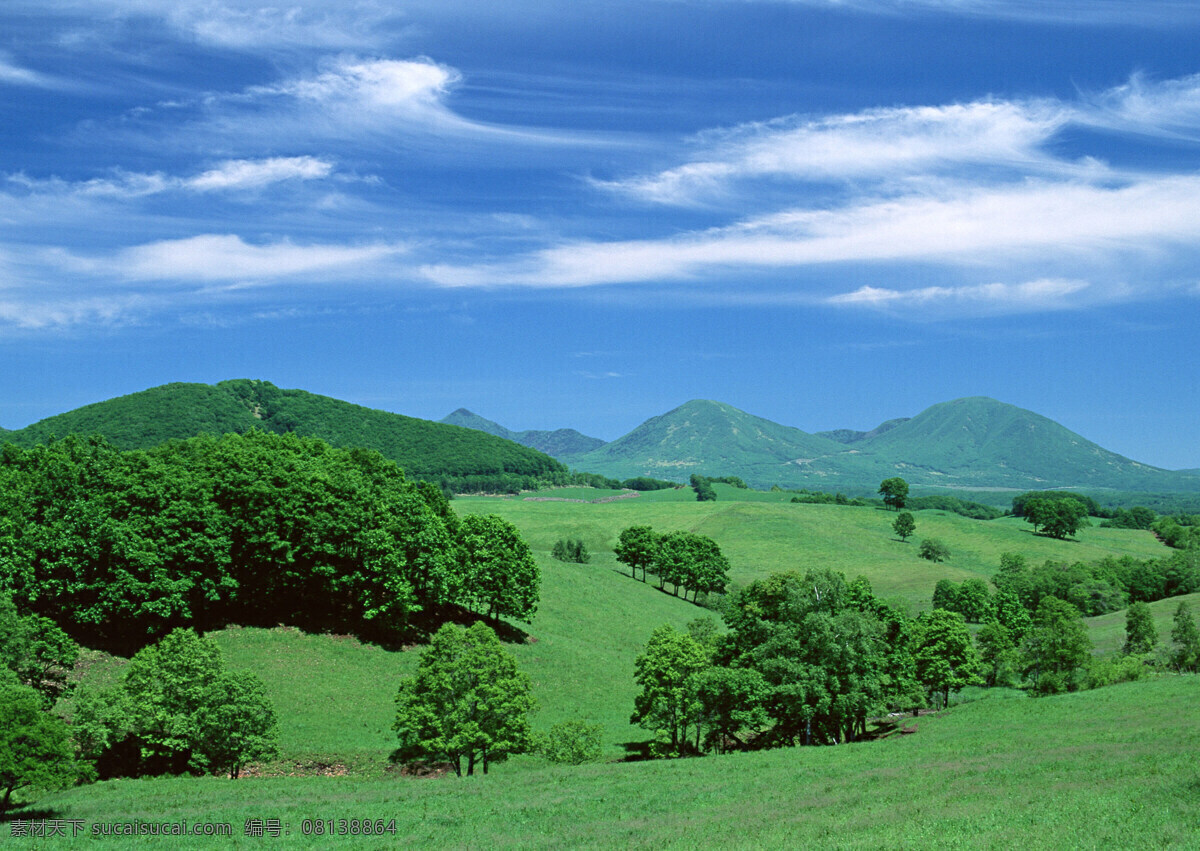 蓝天 白云 风景 自然风景 树木 草原 生活 旅游餐饮