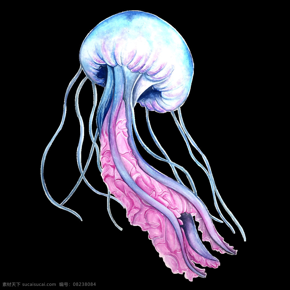 彩色 水母 绘画 图案 海洋生物 水产 鱼类 食物 水彩 手绘 颜料 小清新 包装图案 卡通 生物世界