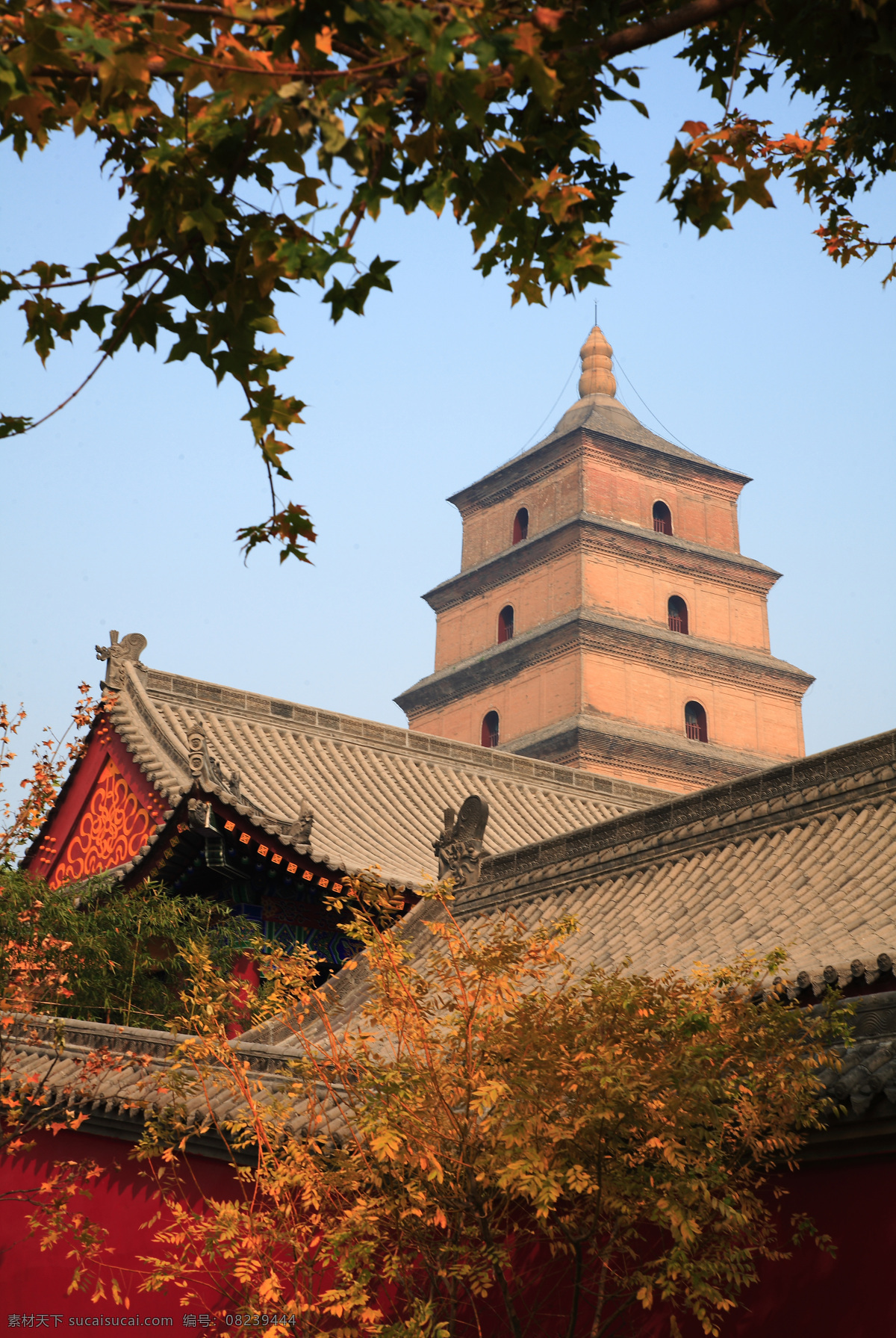 大雁塔 西安 古迹 景点 塔 名胜 陕西 旅游摄影 国内旅游 摄影图库