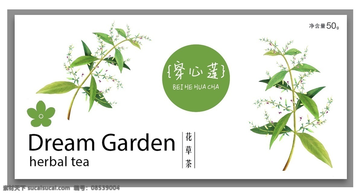 穿心莲 手绘 植物 穿心莲手绘 手绘植物 花草茶 花朵 包装设计